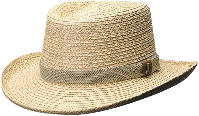 Men's Raffia Gambler Hat